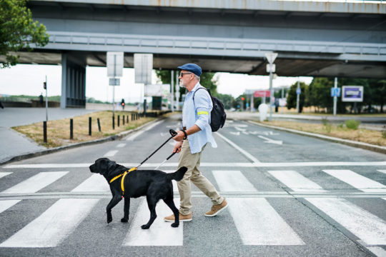 Las 25 ciudades con la movilidad más segura de España