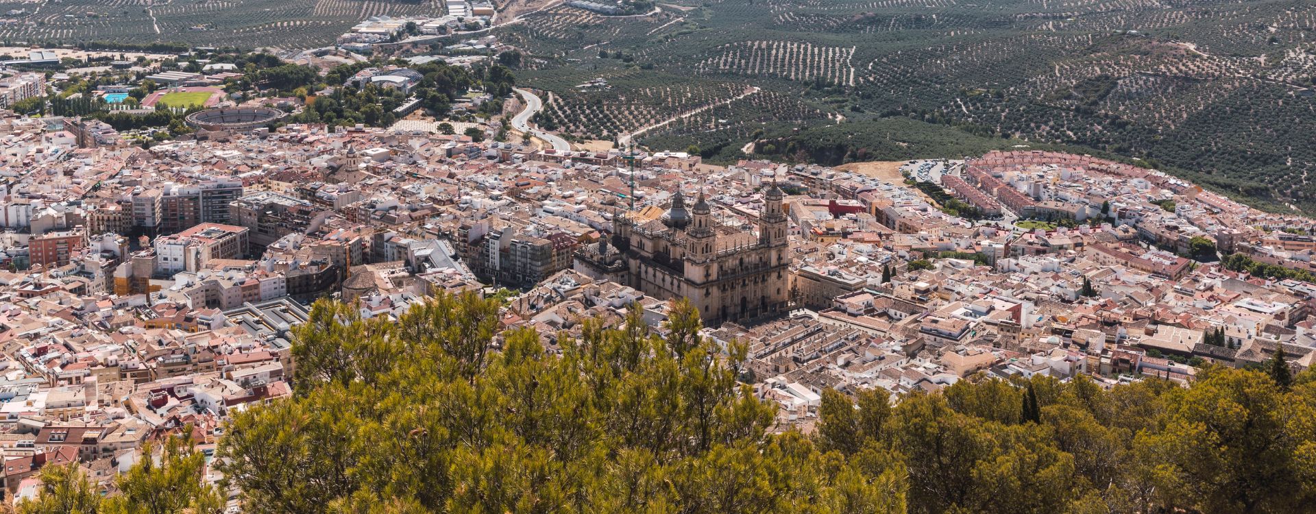 Coches de Renting en Jaén