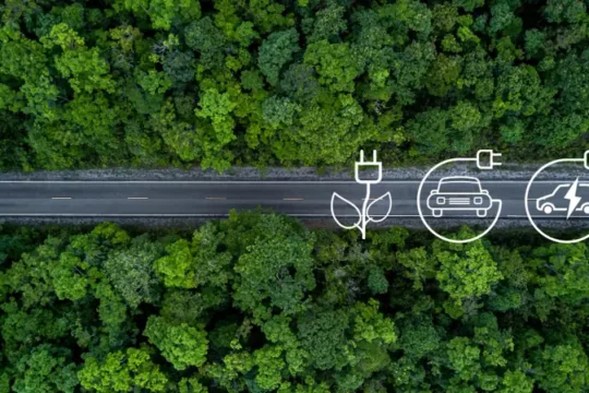 Ahorra hasta 200€ entendiendo los distintivos medioambientales en la UE