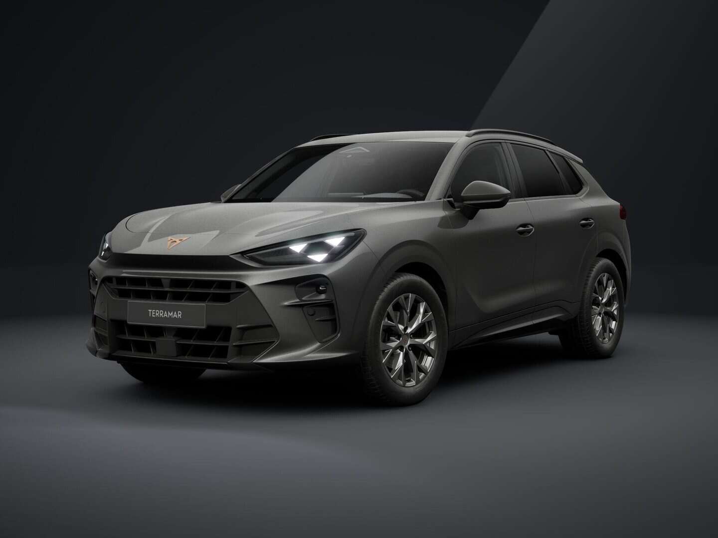 Renting Cupra Terramar Edge Pack Gris Timanfaya SUV Automático Micro-Híbrido Etiqueta ECO